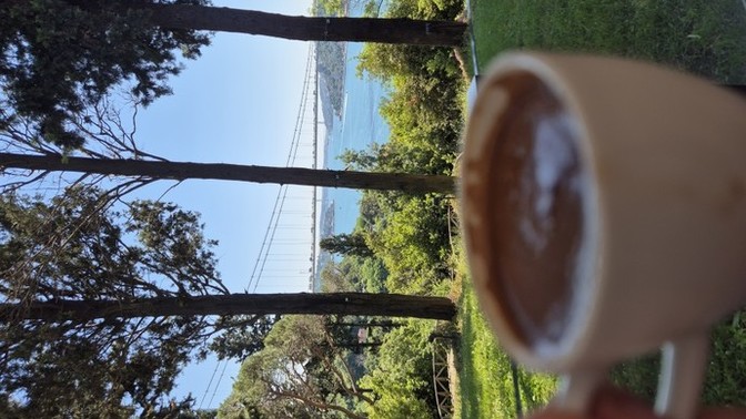 Mihrabat Korusun da kahve içelim mi?