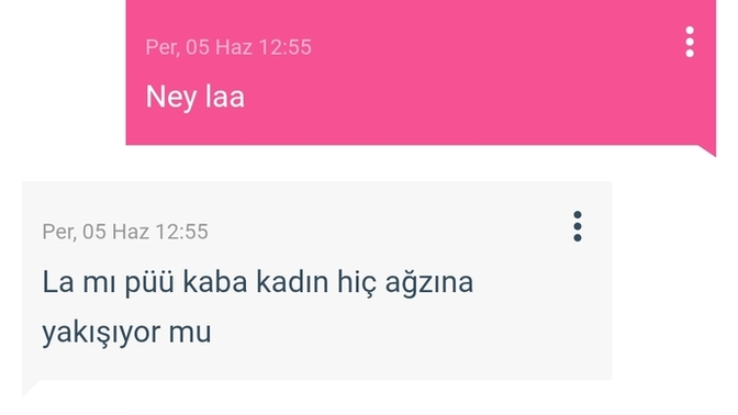 Sevdiginize "lan" diye seslenir misiniz?