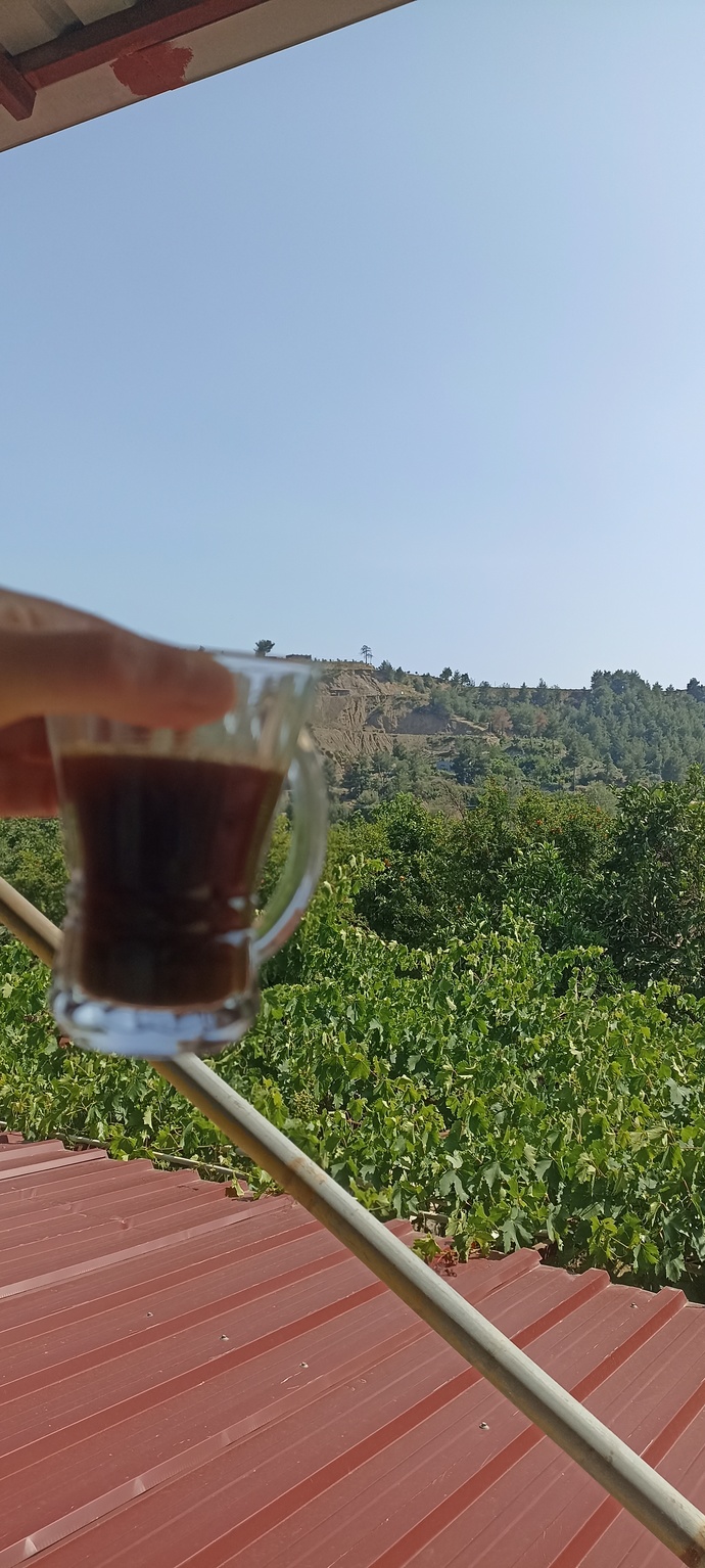 Kahve içenler burada mı?