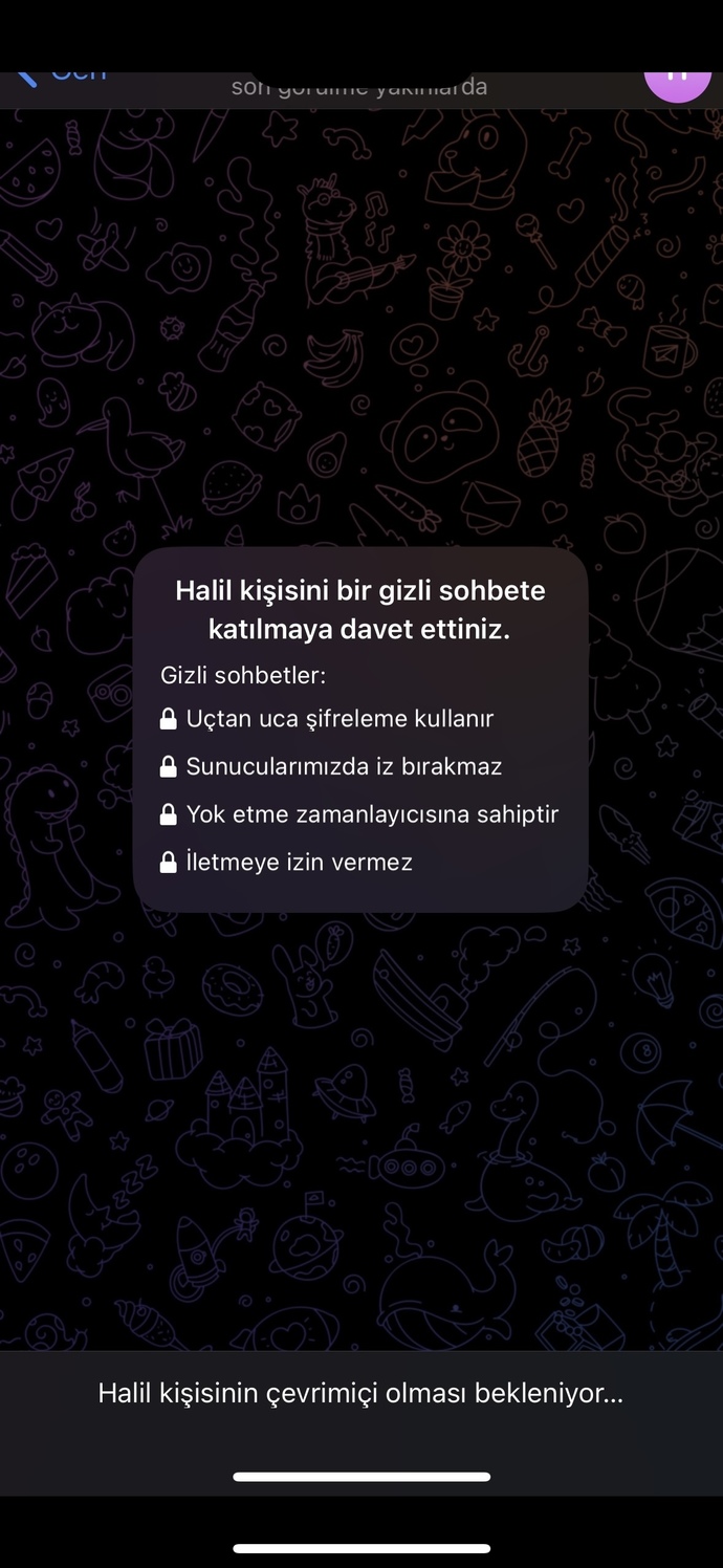 Eski sevgilim gizli mesaj isteğini kabul mu etmiş yoksa otomatikmen mi oldu?