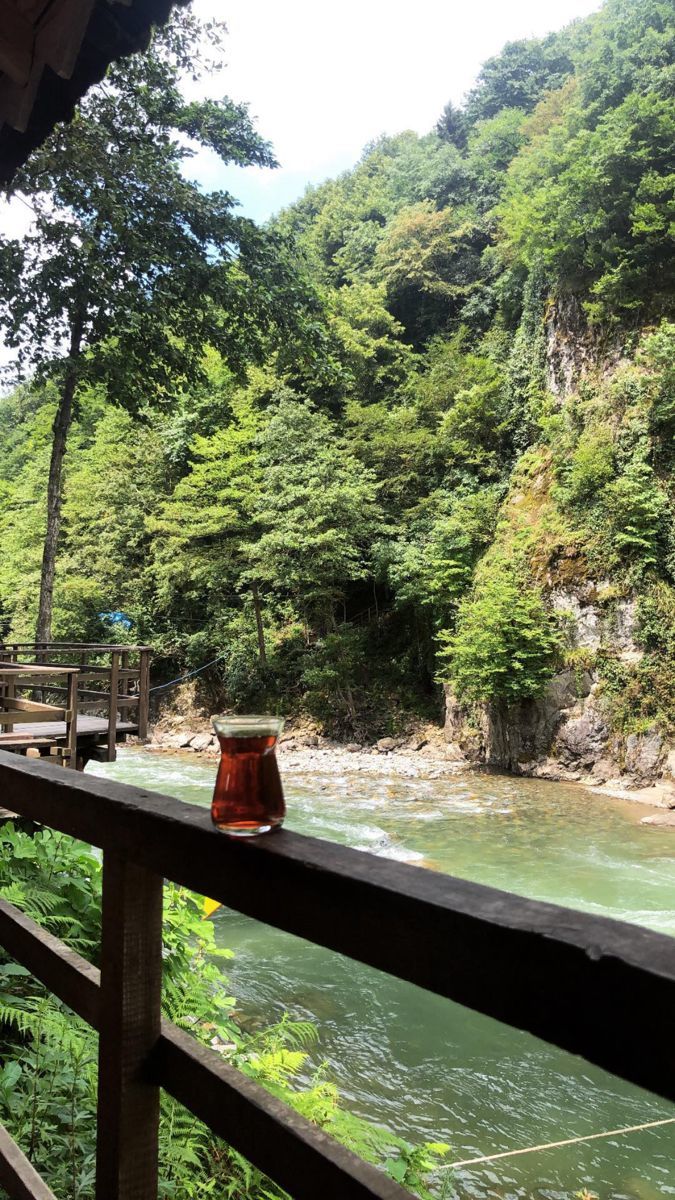 Hayatın boyunca sadece bir bölgeye tatile gidebilecek olsan hangisini seçerdin: Ege mi, Karadeniz mi?