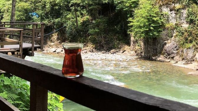 Hayatın boyunca sadece bir bölgeye tatile gidebilecek olsan hangisini seçerdin: Ege mi, Karadeniz mi?