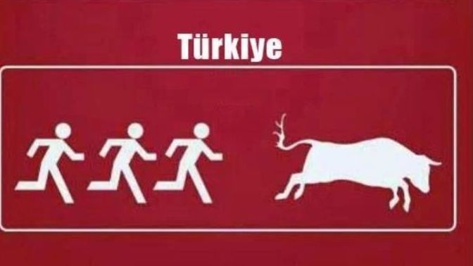Bayram'da nereye gidiyorsunuz? Kurban kesecek misiniz?