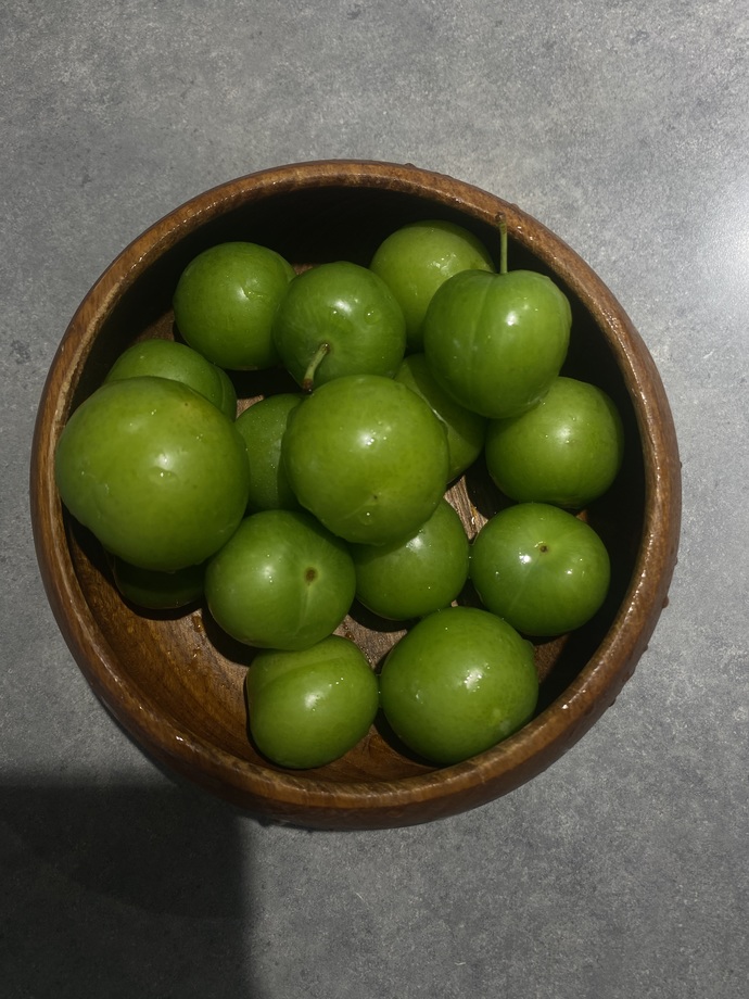 Erik mi çağla mı?