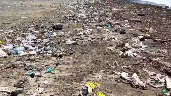 Türkiye’de doğa sahipsiz mi 🥺 kaldı?