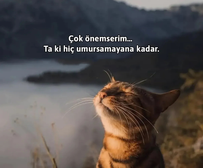 Ta ki 😄