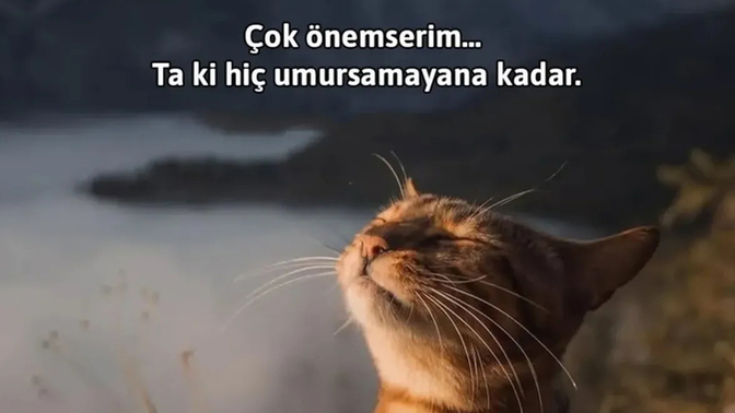 Zamanında çok önemsediğin kişi hala umurunda mı?
