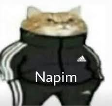 Kadiri seviyorum, daha napim?