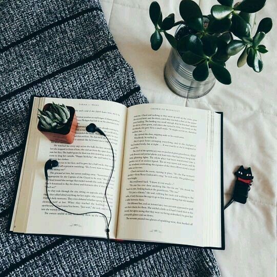 Kitap alıntısı hediye etmemi ister misiniz?