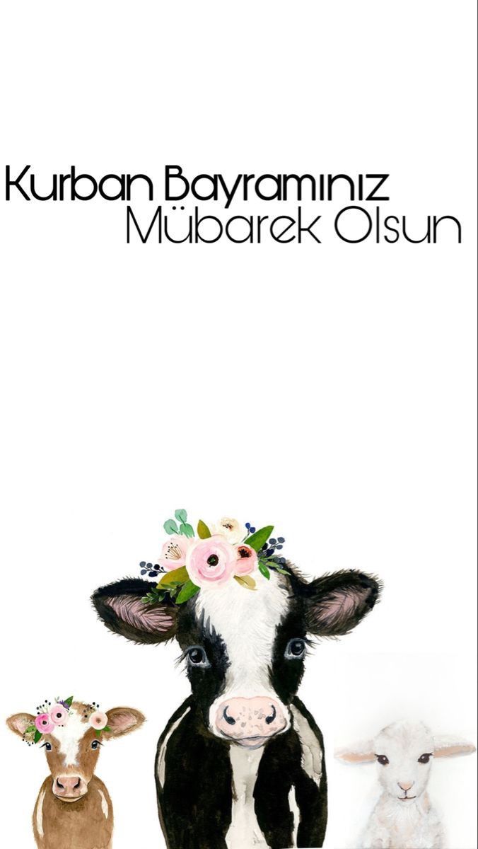 Kimler bayramlaştı KS ailem?