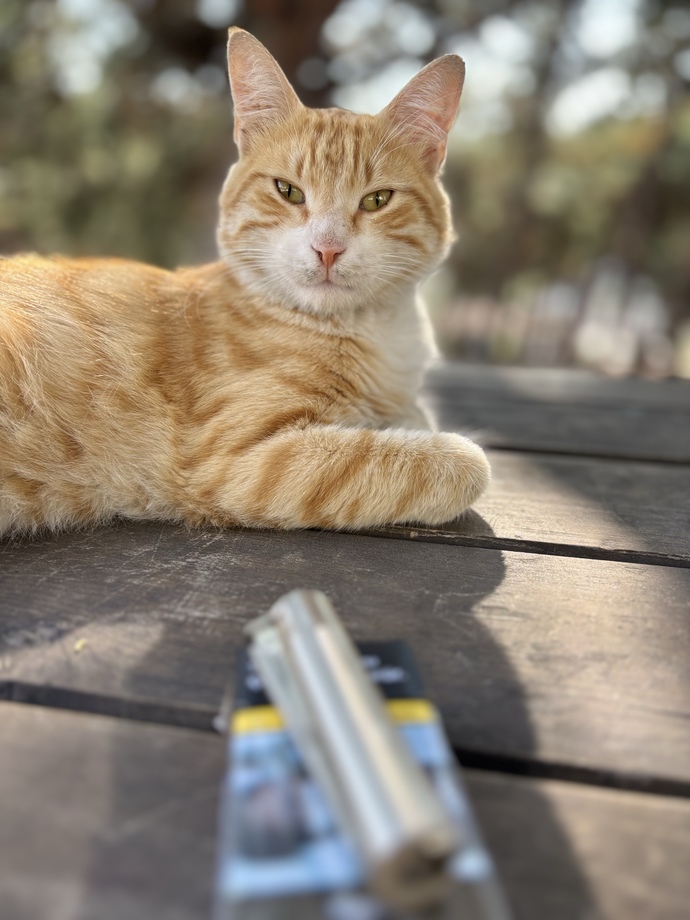 Bir kahve vakti… sizin kahve vaktiniz ne zaman?