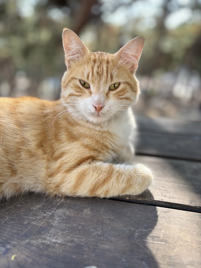 Bir kahve vakti… sizin kahve vaktiniz ne zaman?