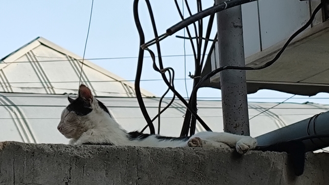 Sizce kadınlar mı daha fedakar yoksa erkekler mi?🤔🤔🤔ben kadınlar diyorum ispatlı geldimmm🤭🤭🤭?