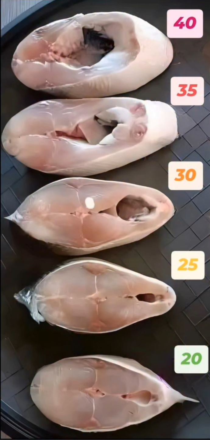 Kaç yılında doğdunuz ?