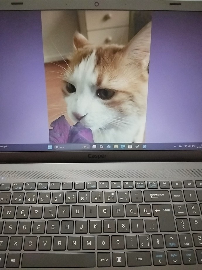 Ana ekran fotoğrafım nasıl?