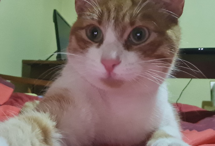 Ana ekran fotoğrafım nasıl?