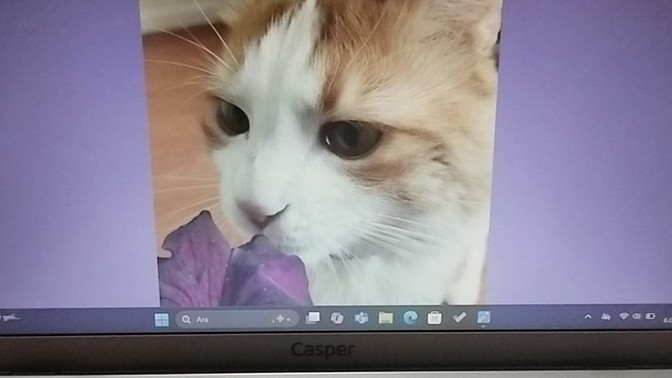 Ana ekran fotoğrafım nasıl?