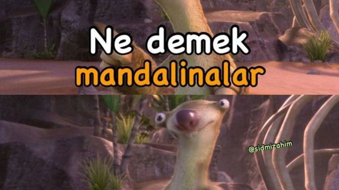 Hayatınızda başınıza gelen en güzel şey nedir?
