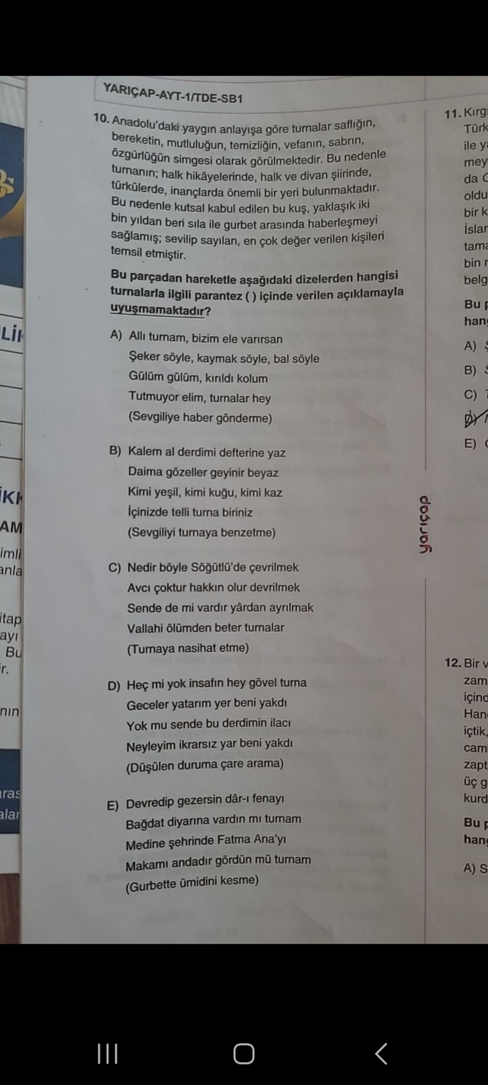 Cevap B
