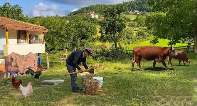 Tatile diye köye gitmeyi ilk kim akıl etti acaba 🤔?