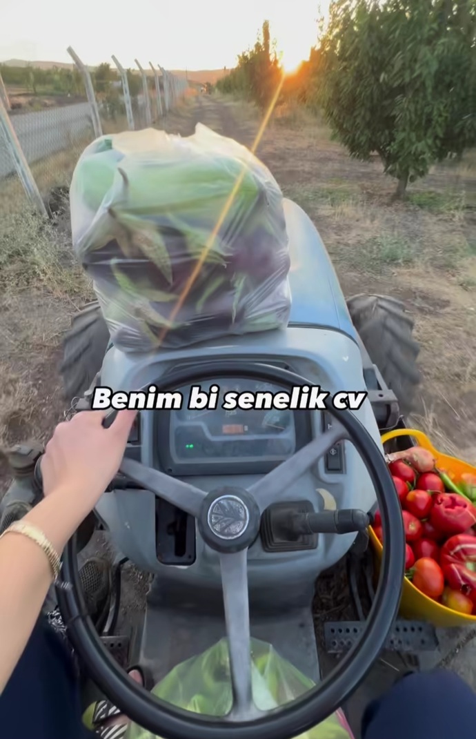 Toprağa dokunup üretmek mi, maaşlı çalışayım kafam rahat olsun mu?