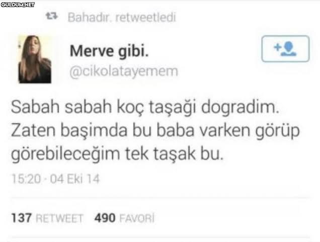 😂😂