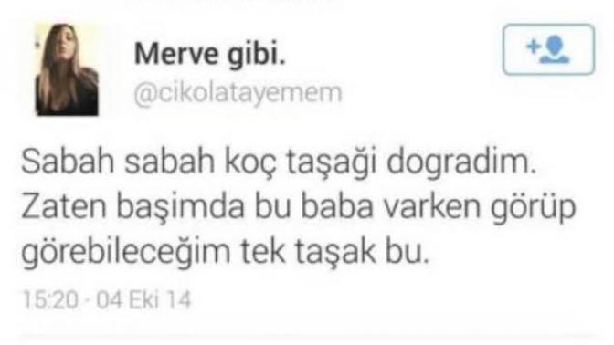 Bir kurban bayramı klasik tweeti kızlar kimler böyle?