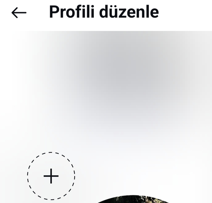 Arkadaşlar instagram fotoğraf değistirme yerine böyle bir özellik gelmiş?