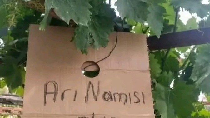 Siz tabeleya ne yazardiniz?
