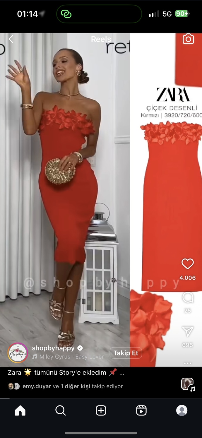 Zara Türkiye’de neden bu elbiseler yok?