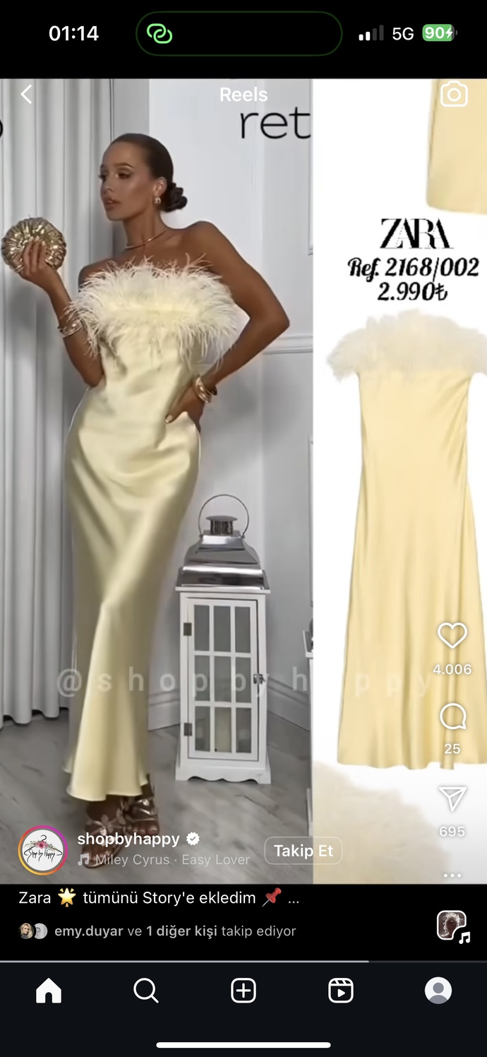 Zara Türkiye’de neden bu elbiseler yok?