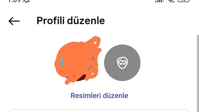 Instagram resmi neden yüklenmez?