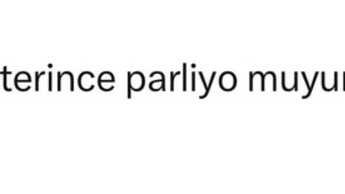 X’te bi hesabınız olduğunu varsayın , anlık gönderiniz ne olurdu?