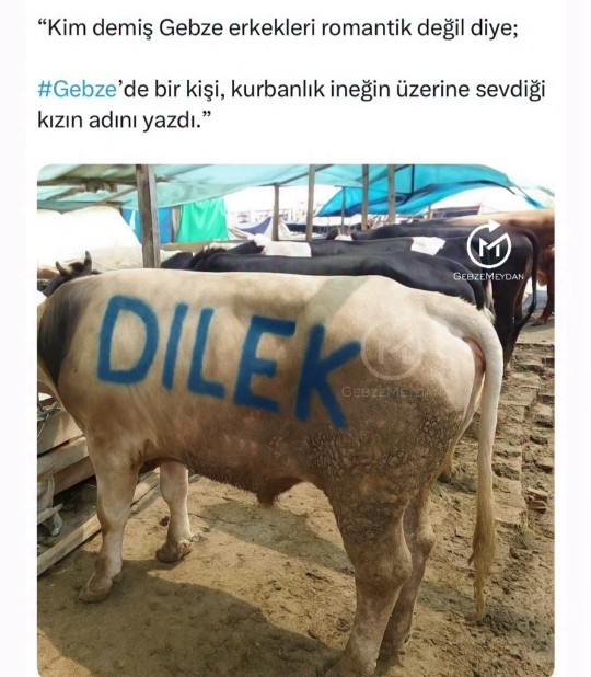 Sizin için yapılan en romantik şey neydi☺️?