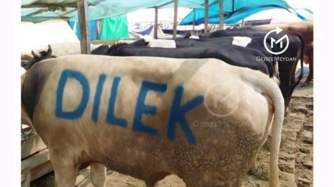 Sizin için yapılan en romantik şey neydi☺️?