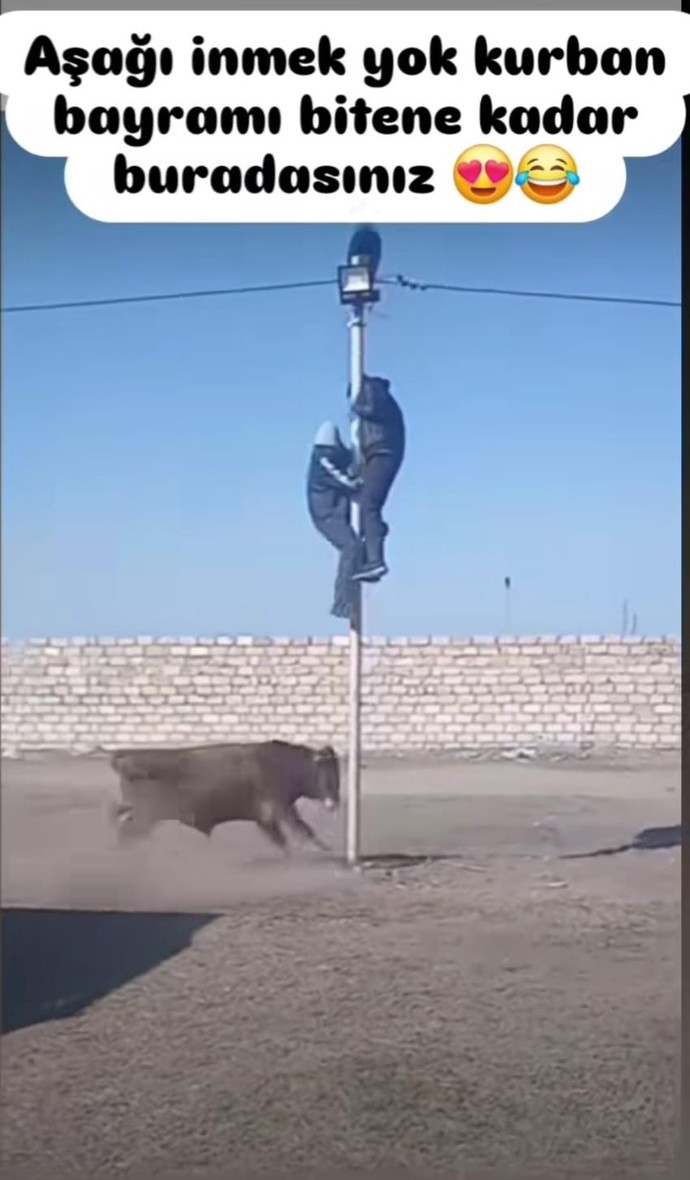 Gerçek rodeo Türkiyededir kimse aksini iddia etmesin xcwbs