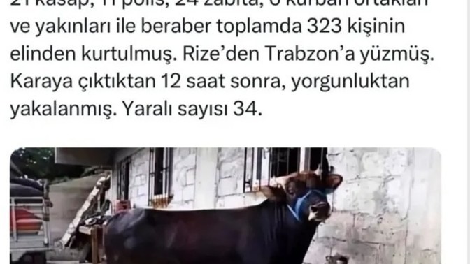 Pes etmeyi düşündüğünüzde sizi engelleyen neden/ler ne?