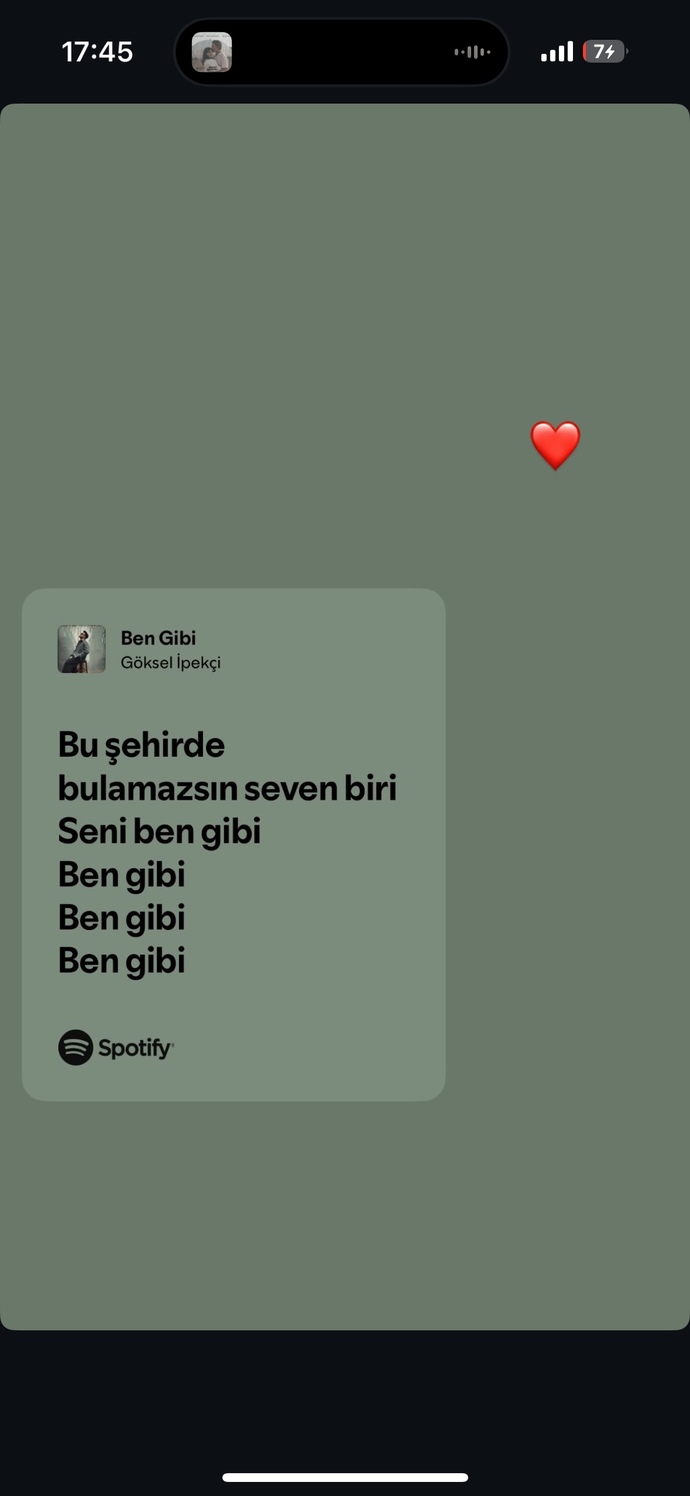 Bu şarkı sözü paylaşan biri aşk acısı mi çekiyordur sevgilisi mi vardır?