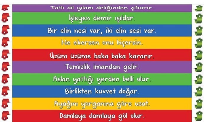 Atasözleri ve deyimler hâlâ kültürümüzde önemli mi? Sizce gençler bunları ne kadar kullanıyor?