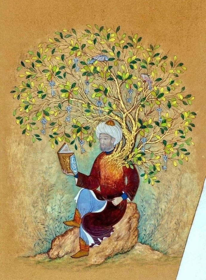 Taşlamayan meyve veren