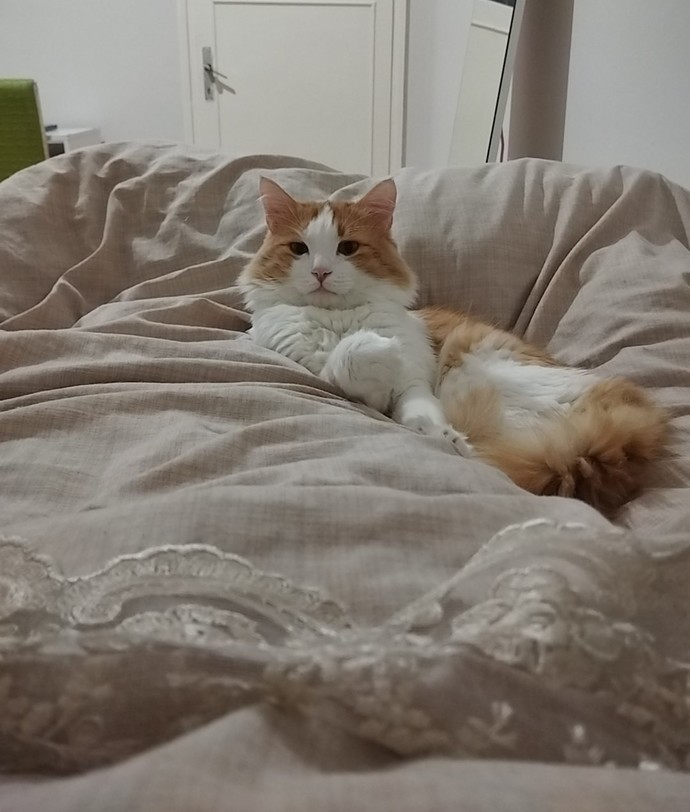 Uykunuza ne eşlik ediyor?