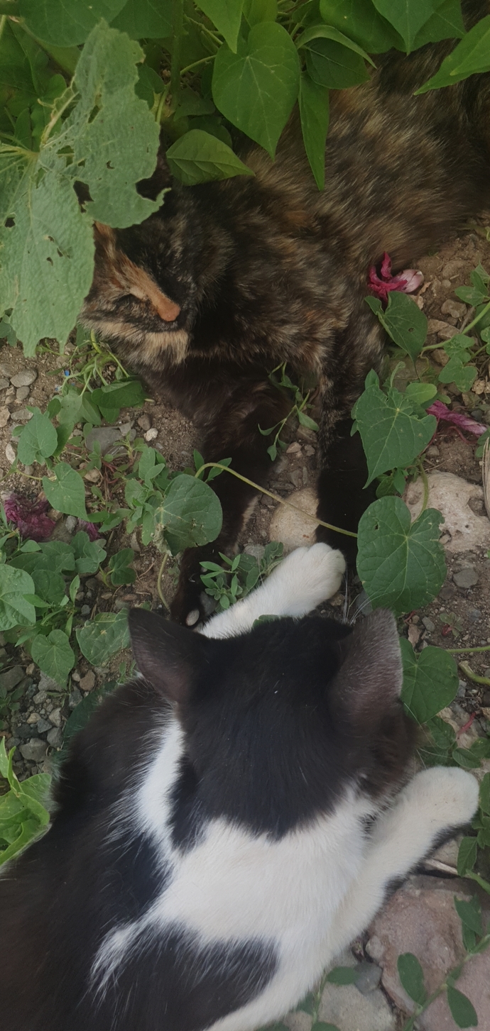 Bulunduğunuz yerden bı foto atar mısınız?