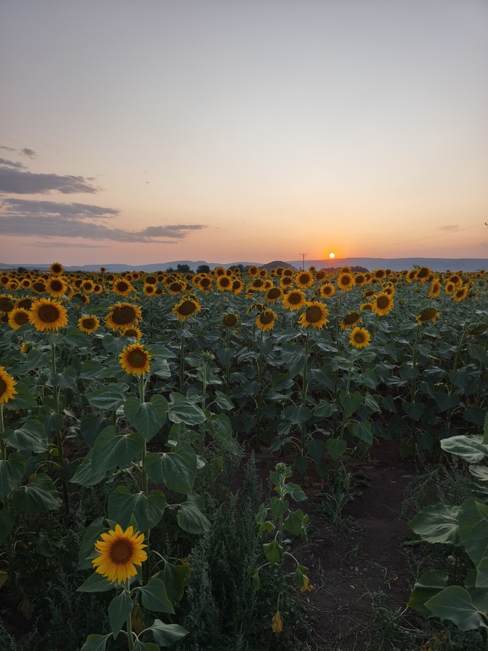 Bulunduğunuz yerden bı foto atar mısınız?