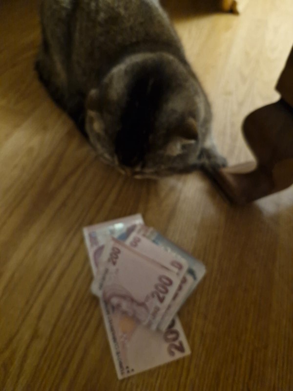 Para her şey midir?
