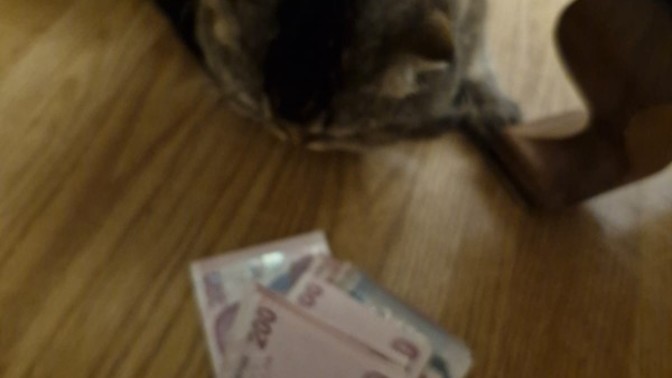 Para her şey midir?