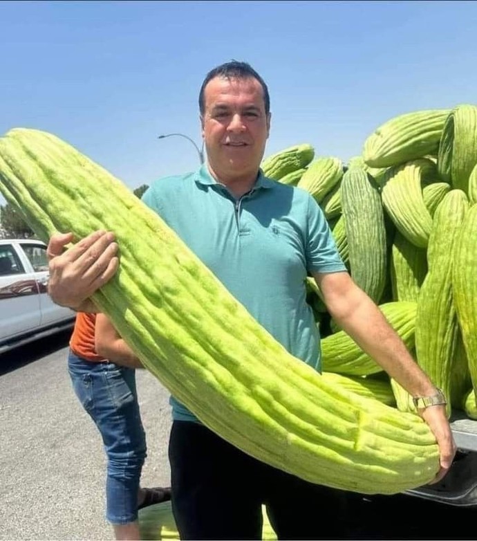 Patlıcan mı, acur mu?