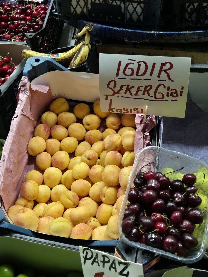 Taze malta kayısısı mı (yaş kayısı) yoksa kuru kayası mı (gün kurusu)? Peki senin tercihin hangisi? Sever misin kayısı?