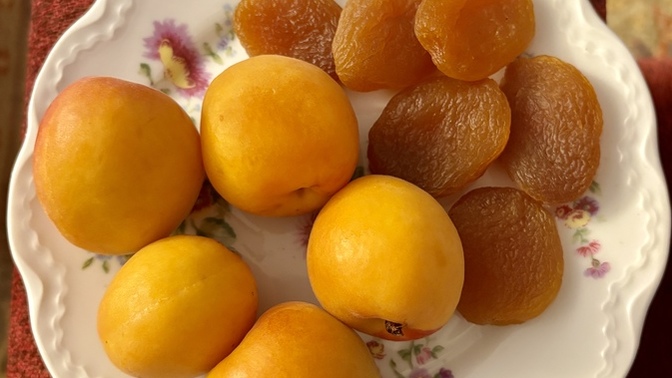 Taze malta kayısısı mı (yaş kayısı) yoksa kuru kayası mı (gün kurusu)? Peki senin tercihin hangisi? Sever misin kayısı?