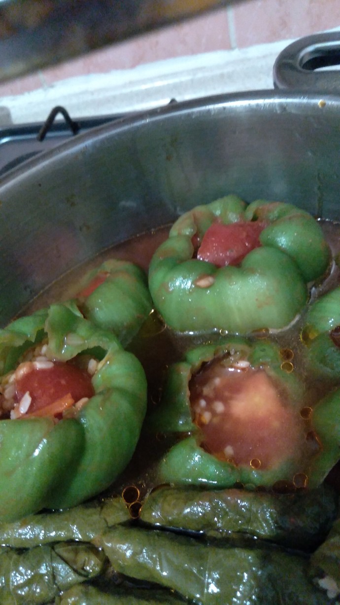 Ilk defa dolma yapicam ama suyu fazla mi koymuşum bi bakar mısınız olmuş mu?