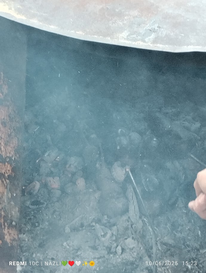 Bi ben mi sevmiyorum patlıcan közleme 😒